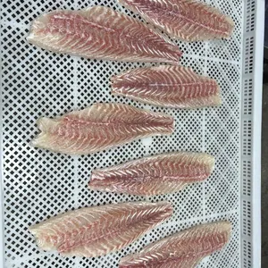 Red Drum Fillet thumbnail-1