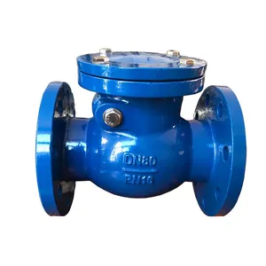BS5153 Flap Check Valve GGG50 Rubber Seal One Way Backflow Prevention Valve thumbnail-1