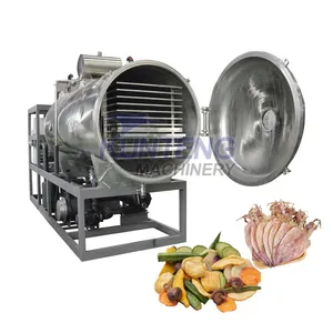 Vacuum Food Candy Freeze Dryer Dried Fruit Machine Okra Mangosteen Mango Freeze Dryer thumbnail-1