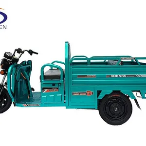Electric Three-Wheeler for Passengers and Cargo thumbnail-2