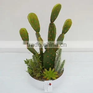2014 Latest Green Mixing Artificial Plants Cactus Plants Wholesale thumbnail-1