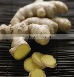 CT Series Hot Air Circulating Drying Oven for Ginger thumbnail-3