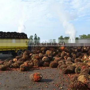 Professional Palm Oil Fractionation Line thumbnail-3