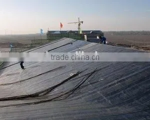 2mm/3mm/4mm High Quality SBS Modified Bitumen Waterproof Membrane For Building Roofing/construction thumbnail-5