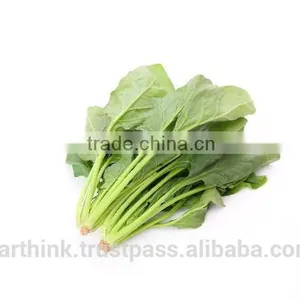 Japanese Jas Organic Baby Food Series Spinach Puree With Cream Sauce 100g (from 5 Months) thumbnail-4