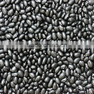 Black Kidney Beans thumbnail-1