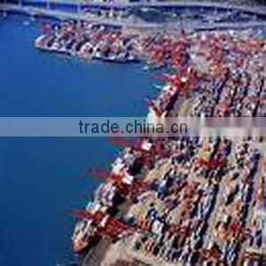 Cargo Shipping From Shenzhen to Riyadh------jessie thumbnail-1