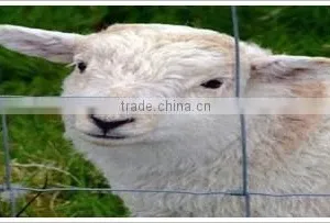 Grassland Fences thumbnail-4