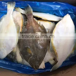 2016 New Coming Frozen Plaice/flatfish for Sale thumbnail-4