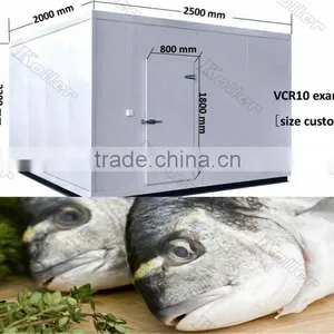 Walk in Koller Freezer Cold Room for Fishery thumbnail-2