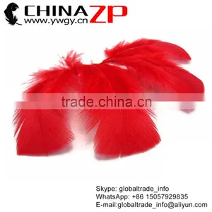ZPDECOR Factory Wholesale Bulk Dyed Red Turkey Fluff Flat T-Base Body Plumage Feathers thumbnail-1