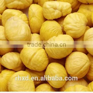 Chinese Chestnut thumbnail-4