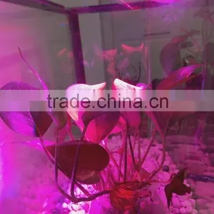 2016 New E27 12w PAR38 Led Grow Light With Full Spectrum for Plant thumbnail-6