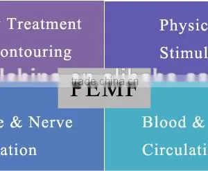Pulsed Electro Magnetic Field PEMF Fat Loss Slimming Beauty Side Effects - PEMF Shape II thumbnail-6
