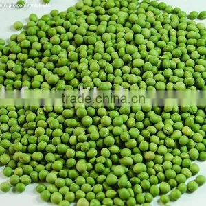 Green Mung Bean(China Origin) thumbnail-1