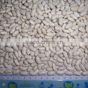 Best Factory Price of White Kidney Beans thumbnail-6