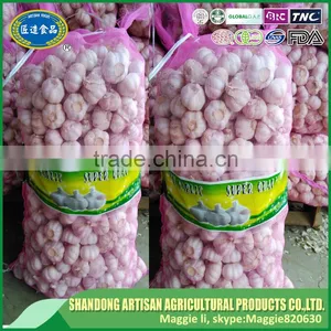 Export Ginger & Garlic 10kg and 20kg/mesh Bag thumbnail-4