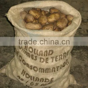 Dutch Potatoes/Pomme de Terre Hollandais thumbnail-3