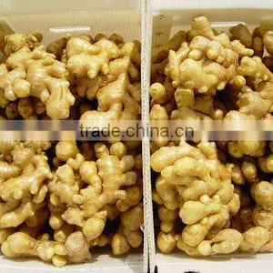 INDIAN YOUNG FRESH GINGER thumbnail-1