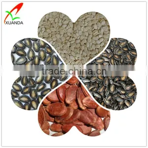 Different Types of Seeds Watermelon thumbnail-1