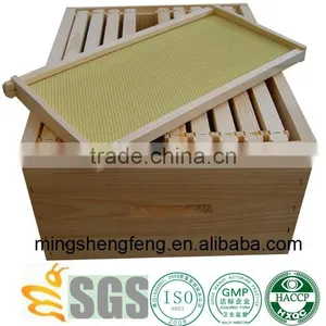 Best Bee Hive Foundation Sheet -high Quality Honey Bee Keeping -henan Suppliers thumbnail-5