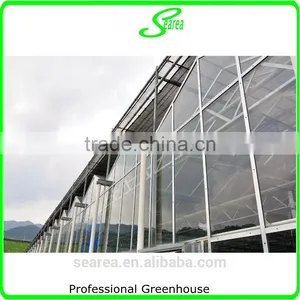 High Quality Giant Greenhouse,flower,plant House/large Inflatable Membrane Structures thumbnail-4