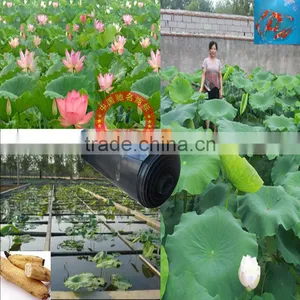 Aquaculture Pond Liner thumbnail-1