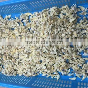 Frozen Yellow Clam Meat thumbnail-3