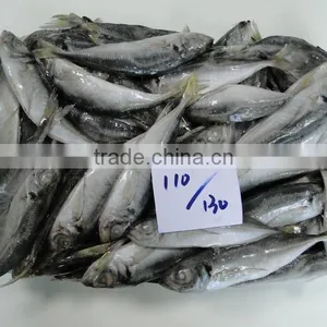 Frozen Fish Frozen Horse Mackerel 110--130 thumbnail-1