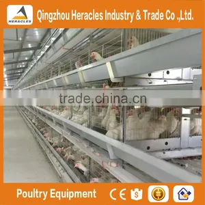Best Selling Poultry Farming Layer Chicken Cage-H Type 4 or 5 Layers for Egg Chicken thumbnail-1
