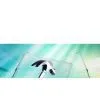 Onetouch Anti-vandalism Surface Acoustic Wave Touchscreen thumbnail-1