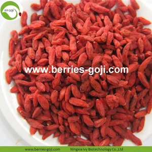 Factory Supply Nutrition Dried Lycium Chinensis thumbnail-1