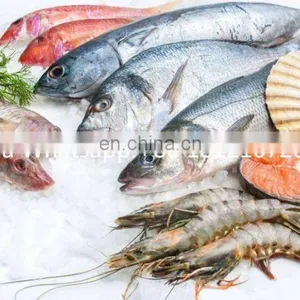 Frozen Beef Cold Storage Cold Chain Cold Warehouse thumbnail-5