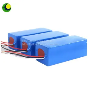 24v/36V/48v/52v/60v/72v PVC Battery Pack for Electric Bike/E- Scooter/Goft Car thumbnail-1
