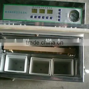 FACTORY PRICE HIGH QUALITY DZ-300 TEA VACUUM PACKING MACHINE thumbnail-2