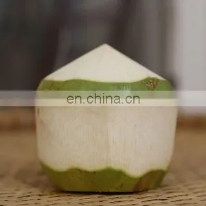 Coconut Vietnam High Quality Competitive Price thumbnail-3