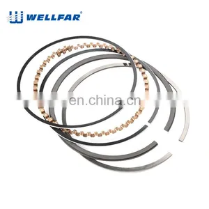 Wellfar High Quality Nitriding and Alloy 71mm Piston Rings Set For Kia Engine Preid thumbnail-4
