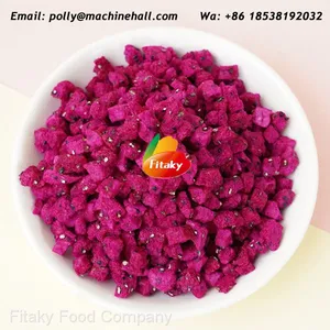 High Quality Freeze Dried Dragon Fruit Slices Wholesale Price thumbnail-1
