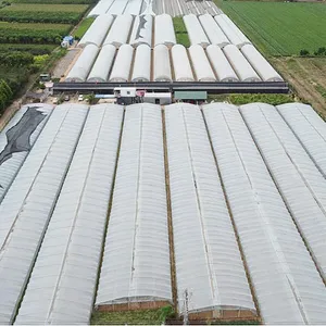Shijiazhuang Lianshou Seed Sales Co., Ltd. company overview - view 1 thumbnail