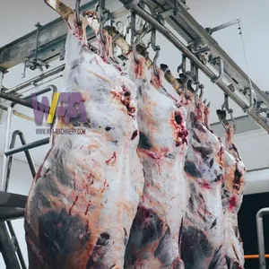 Freely Design Complete Cow Slaughter Line Equipment of Turnkey Project Solution Cattle Abattoir Machine thumbnail-4