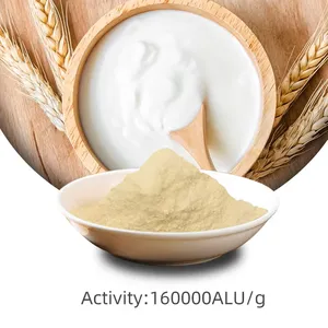 Wholesale Price Food Grade Acid Lactase Beta-galactosidase 160000ALU/g Powder Supply of Enzyme Preparations With CAS 9031-11-2 thumbnail-1