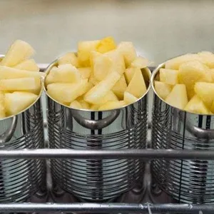 High Efficiency Canned Pineapple Processing Plant / Pineapple in Syrup Processing Line thumbnail-3