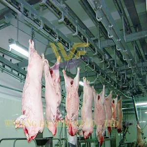 450 Pig Per Shift Slaughter House Equipment Swine Abattoir Machine Line Hog Butcher Machinery Pork Processing Workshop USDA thumbnail-1
