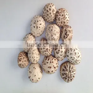 Dried White Flower Mushroom Export Products of Singapore thumbnail-4