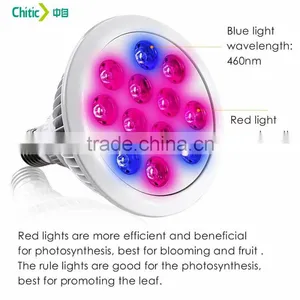 Hot Selling High Quality Standard Manufacturer in China Factory Price 12W LED Plant Grow Light for Strawberry thumbnail-5