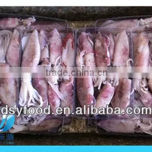 Frozen Clean and Fresh Fuzhou Squid thumbnail-3