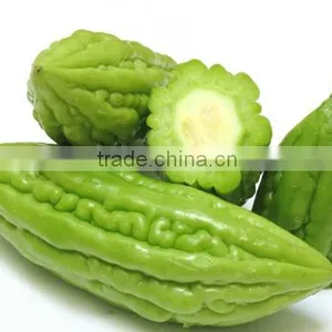 HOT PRODUCT FROZEN BITTER MELON HIGH QUALITY ANSD BEST PRICE thumbnail-1
