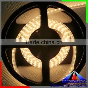 China Manufacturer 12V/24V Epistar 300leds/m SMD 5050 Waterproof IP68 Flexible LED Strip Light thumbnail-3