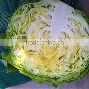 Fresh Cabbage International Market Price thumbnail-1