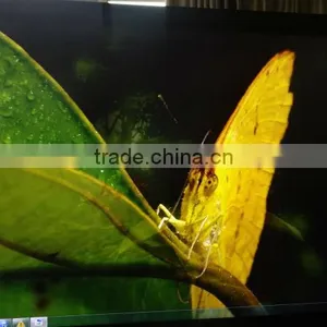 65'' LED Big Screen Multi Media Panel thumbnail-1
